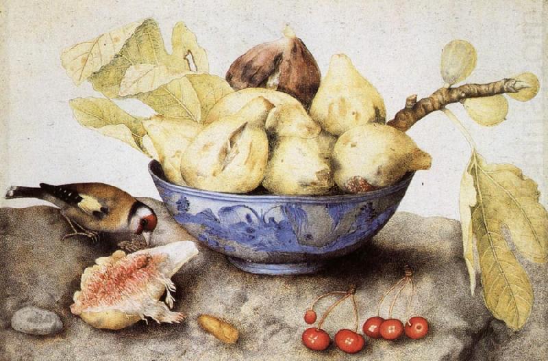 Giovanna Garzoni Chinese Cup with Figs,Cherries and Goldfinch china oil painting image